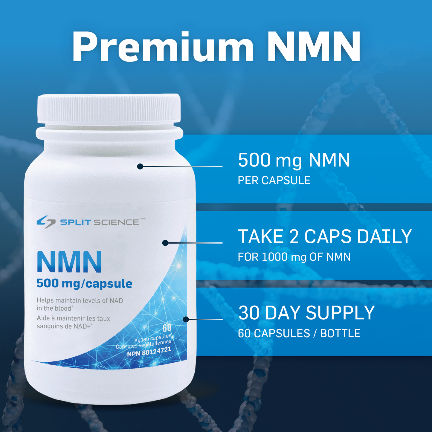 NMN 500 mg/capsule